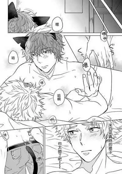 Fukurou no Koiwazurai | 猫头鹰的相思病