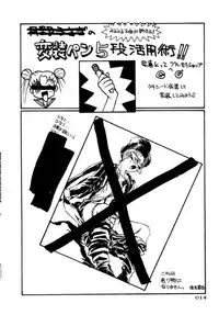 (C45) [UROBOROS (Various)] PARASELENE (Bishoujo Senshi Sailor Moon)