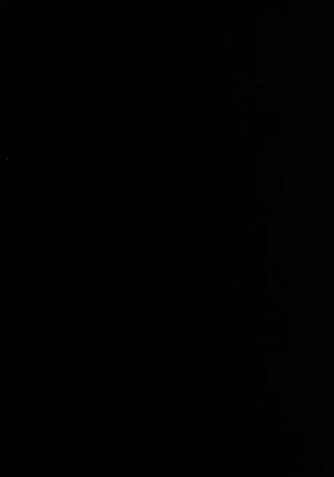 Learning Slow Sex With Youmu