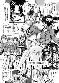 Comic Hime Dorobou 2006-11