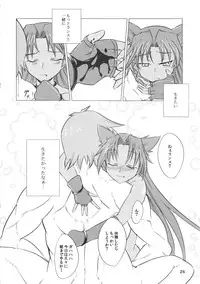 (C81) [JUNK×JUNK (kojou)] Suzume no Namida. (Rance Quest)