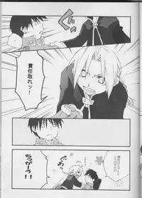 [MIX*SCRAMBLE (Kasuga Yume)] TRUE SECRET (Fullmetal Alchemist)