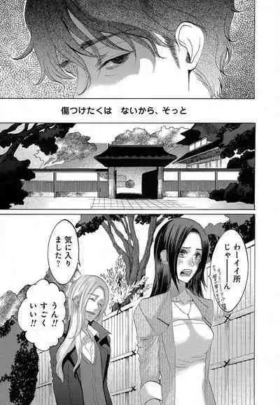 Kizutsukeru you ni Aishiaimashou 1-10