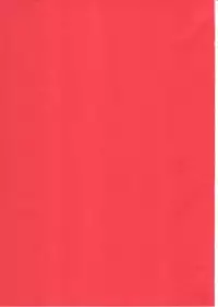 (C61) [Toko-ya (HEIZO, Kitoen)] side:NINA - Ryuu no Me no Fuukei ~ second (Breath Of Fire)