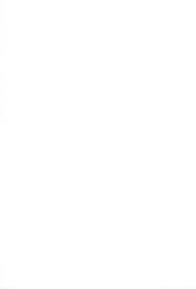 (Lyrical Magical 4) [Ryuuseidou Honpo (NAMIO, Ryuudou Hiromi)] Magical Night 4 (Mahou Shoujo Lyrical Nanoha)