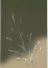 [Jinapakusu (Yowashi)] Ikuyo-san ga Gakkou no Seitokaichou ni Netorareru Hon (Smile Precure!)