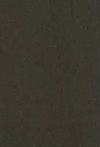 (SPARK12) [sainome (Sunako)] Hariko no Tora no Aishikata (Boku no Hero Academia)