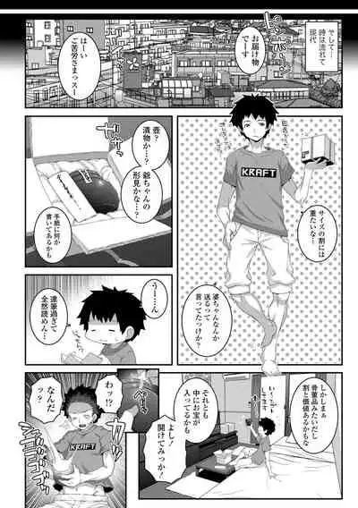 Soutaisei Virgin Theory