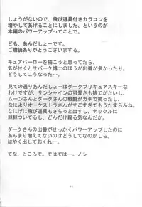 (C79) [20R0 (Various)] Sange Ichirin (HeartCatch Precure!)