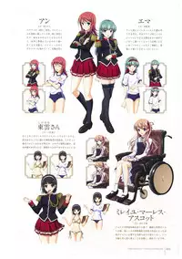 Walkure Romanze More & More Visual Fan Book
