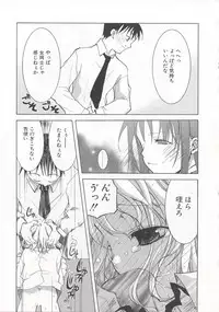 [Mizushima Sorahiko] Wild Strawberry