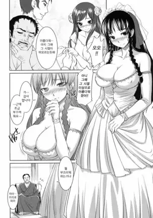 Ojou-sama wa H ga Osuki