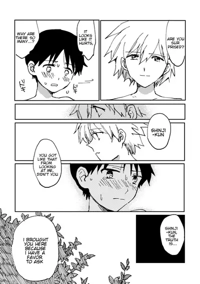 [Morotomo] Hane wa Ashita Haeru | My Wings Will Spread Tomorrow (Neon Genesis Evangelion) [English] [TyroLuuki]