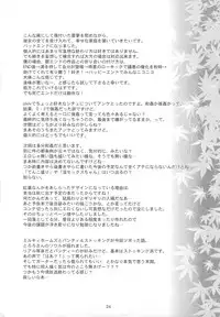 (C79) [Toriaezu(kari) (Tororo)] Shoujo Kitouchuu (Touhou Project)