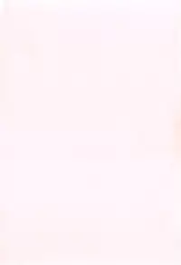 [Maeshima Ryou] LLOLL -Little Lips of Lovely Lolita- [Chinese] [狼娘汉化组&開坑快過射精蟻速劣質嵌字漢化組]