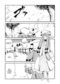 (Reitaisai 10) [Shironegiya (miya9)] Cloudy Sky Library (Touhou Project) [English]