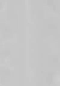 [NERCO (Koikawa Minoru)] Hatsujou Usagi to Asa made Okusuri Koubi (Touhou Project) [Digital]