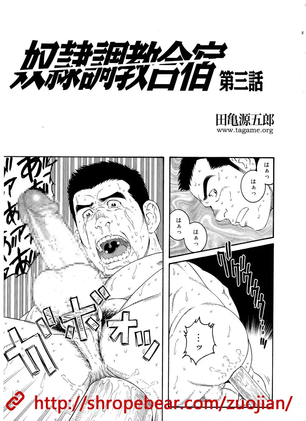 Slave Training Summer Camp