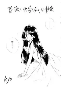 (C51) [Sailor Q2 (Ryö)] SFW Sailor Q2 Fuckin' Works (Bishoujo Senshi Sailor Moon)