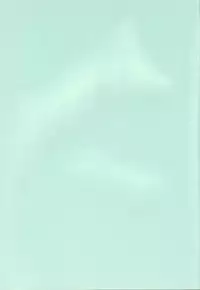 (C54) [Toufuya (Yoshida Kei)] Toufuya 15-chou (Various)