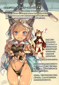(C89) [Chesha Neko no Yakata, Shokuan (Wazakita, Shokushu-san)] PARADOXICAL VOL.01 (Granblue Fantasy) [English] [Team Koinaka]