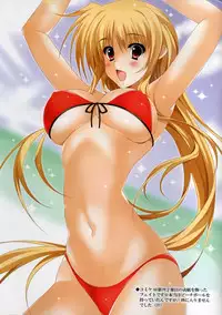 (C80) [HATENA-BOX (Oda Kenichi)] MEGAMI (Mahou Shoujo Lyrical Nanoha)