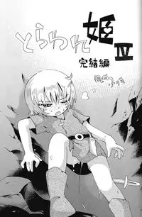 (C82) [Puchi-ya (Hoshino Fuuta)] Toraware Hime IV Kanketsuhen