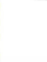 (C79) [SANB. (Ito Ryusei)] Ore no Imouto ga Konnani Kawaii Kaltutara Naa Ketsu (Ore no Imouto ga Konna ni Kawaii Wake ga Nai)