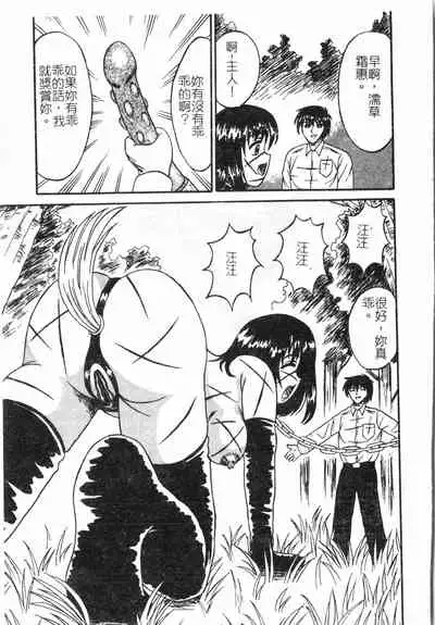 Fallen love at night