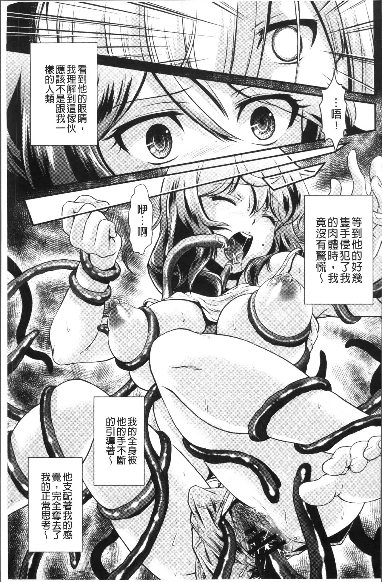 Mesu ga Mezameru Toki