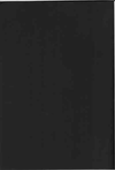 [Tonari no Yama (Yokoyama Kouji)] Django!!! (Mahou Shoujo Lyrical Nanoha)