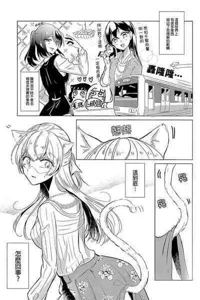 Neko Shibai | Cat play