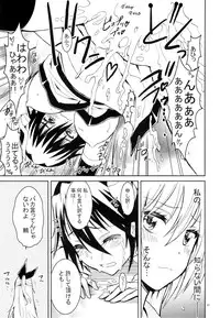 (C87) [Project Harakiri (Kaishaku)] Nisenisekoi 5 (Nisekoi)