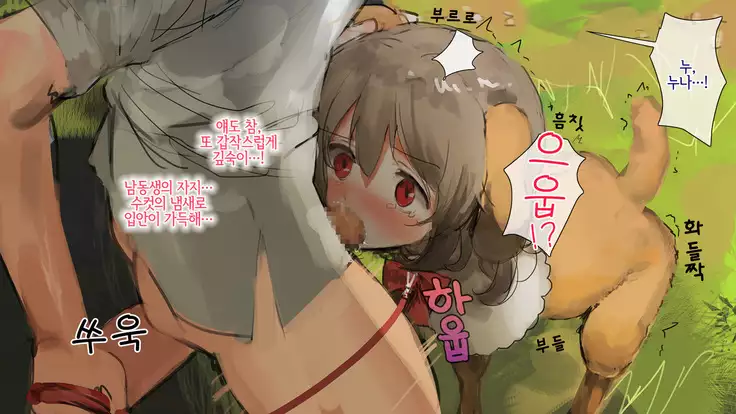 bijinmeninu no kaikata