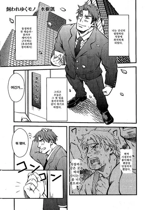 Kawareyuku Mono | 길러지는 물건