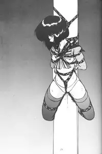 (C61) [Thirty Saver Street 2D Shooting (Maki Hideto, Sawara Kazumitsu)] Silent Saturn SS vol. 3 (Bishoujo Senshi Sailor Moon)