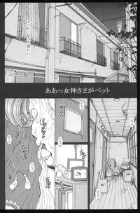 (CR37) [Studio Wallaby (Haruhonya)] Ah! Megami-sama ga Pet (Ah! My Goddess)