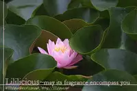 [Morishima Akiko] Full of Memories [ENG]