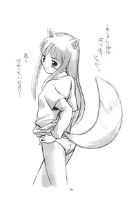 (Noiji Maniacs 2) [Yukai Ehon (Sue)] Ookami-san no Ohikkoshi (Spice and Wolf)