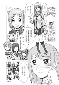 [AB Normal (NEW AB)] Aido 34 Gokujou Fukukaichou Gokujou Kaikei (Best Student Council)