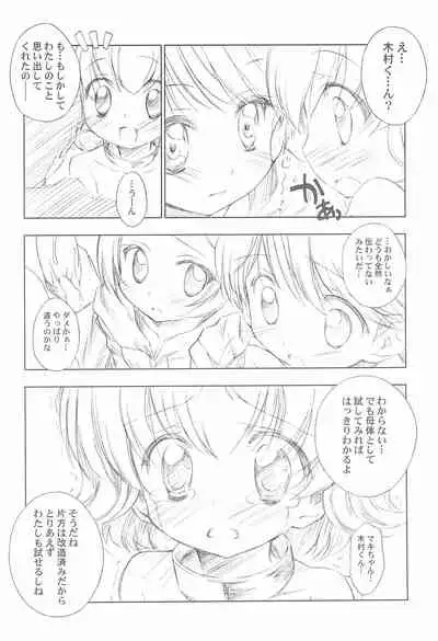 BATTLE FOR THE PLANET OF THE HAMS