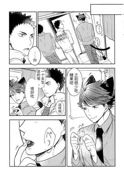 我想成为小岩的猫4 I want to become Iwa-chan's Cat! 4