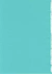 (C62) [DAIZU AZUKI (Chomoyama)] Dog Days, Cat Days (Gunparade March)