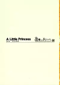 (C66) [Shinobi no Yakata & Yumeyorisutekina] A LITTLE PRINCESS (Sister Princess)