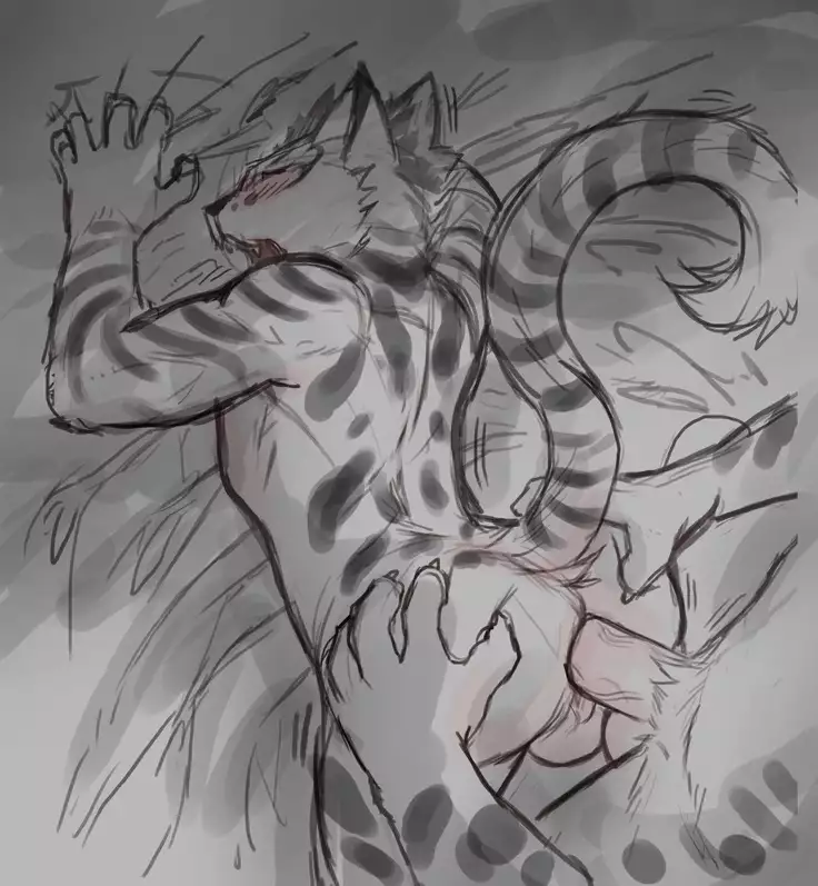 Nekojishi December 2017 Package Reward + Extras