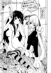 [Akatsuki Myuuto] Dorei Usagi to Anthony