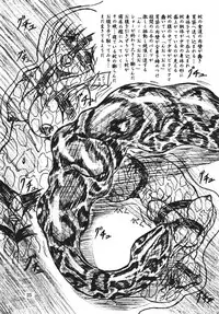 (C70) [Sumomo Dou (Sumomo EX)] Vivian Bessatsu Soushuuhen 1 Love Hinya (Various)