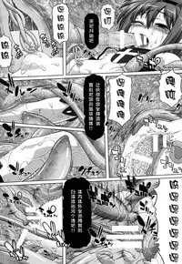 (C85) [Nyaa Nyaa Koushinjo (Kaibara Keiya)] HARVEST_2_2 (Mahou Shoujo Lyrical Nanoha) [Chinese] [脸肿汉化组]