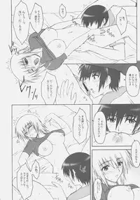 (SC32) [Type-G (Ishigaki Takashi)] Naked Shuffle (Mobile Suit Gundam SEED)