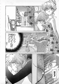 Colorful Bee 1999-10